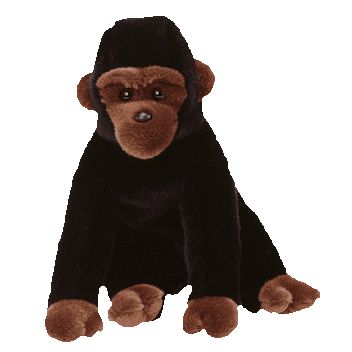 congo beanie baby