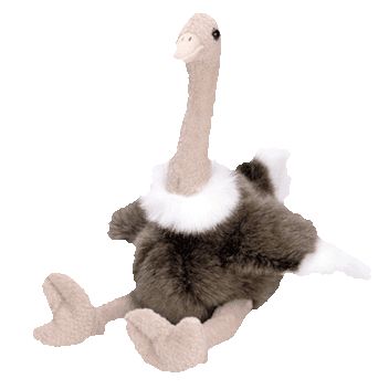 ty ostrich