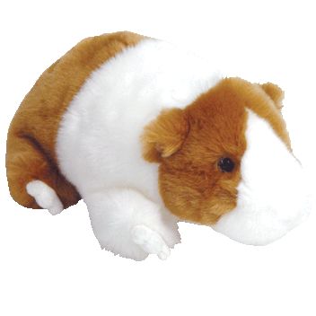 ty beanie guinea pig