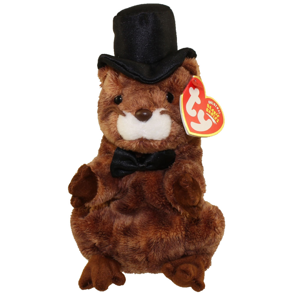 TY Beanie Baby - PUNXSUTAWNEY PHIL 2004 the Groundhog (6.5 inch) (Mint