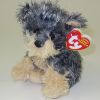 TY Beanie Baby - TYGER the Yorkie Dog (Light Grey Version)! (Mint)