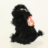 TY Beanie Baby - SHAMPOODLE the Poodle Dog (7 inch) (Mint)