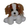 TY Beanie Baby - BARKER the Spaniel Dog (6 inch) (Mint)