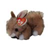 TY Beanie Baby - BUSTER the Brown Bunny (6 inch) (Mint)