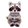 TY Beanie Baby - PETEY the Raccoon (6 inch) (Mint)