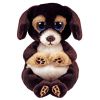 TY Beanie Baby (Beanie Bellies) - RANGER the Dog (6 inch) (Mint)