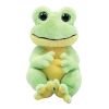 TY Beanie Baby - SNAPPER the Frog (6 inch) (Mint)