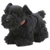 TY Beanie Buddy - ABERDEEN the Black Dog (10 inch) (Mint)