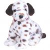 TY Beanie Buddy - BO the Dalmatian Dog (9.5 inch) (Mint)