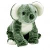 TY Beanie Buddy - EUCALYPTUS the Koala (9.5 inch) (Mint)