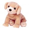 TY Beanie Buddy - FETCH the Golden Retriever Dog (10 inch) (Mint)