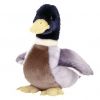 TY Beanie Buddy - JAKE the Mallard Duck (8.5 inch) (Mint)
