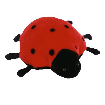 Ty Beanie Buddy - Lucky The Ladybug (9.5 Inch) (mint): Sell2bbnovelties 