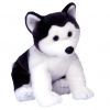 TY Beanie Buddy - NANOOK the Husky Dog (10 inch) (Mint)