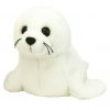 TY Beanie Buddy - SEAL the White Seal (seamore) (12 inch) (Mint)
