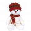 TY Beanie Buddy - SNOWBOY the Snowboy (14.5 inch) (Mint)