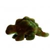 TY Beanie Buddy - STEG the Dinosaur (13 inch) (Mint)
