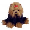 TY Beanie Buddy - YAPPER the Dog (11 inch) (Mint)