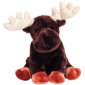 TY Beanie Buddy - ZEUS the Moose (13 inch) (Mint): Sell2BBNovelties.com ...