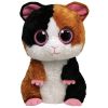 TY Beanie Boos - NIBBLES the Guinea Pig (Medium Size - 9 inch) (Mint)