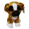 TY Beanie Boos - BRUTUS the Boxer (Regular Size - 6 inch) (Mint)