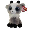 TY Beanie Boos - GABBY the Goat (Regular Size - 6 inch) (Mint)