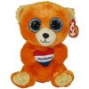 TY Beanie Boos - HOLLAND the Bear (Regular Size - 6 inch)  (Mint)