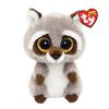 TY Beanie Boos - OAKIE the Raccoon (Regular Size - 6 inch) (Mint)