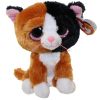 TY Beanie Boos - TAURI the Cat (Regular Size - 6 inch) (Mint)