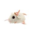 TY Beanie Boos - Teeny Tys Stackable Plush - ANNA the Mouse (4 inch) (Mint)