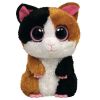 TY Beanie Boos - NIBBLES the Guinea Pig (Regular Size - 6 inch)  (Mint)