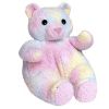 Baby TY - BEARBABY the Bear (Ty-Dyed version) (12 inch) (Mint)