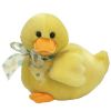 TY Classic Plush - BILLINGS the Duck (8 inch) (Mint)