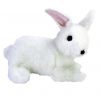 TY Classic Plush - BOWS the White Bunny (10 inch) (Mint)