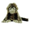 TY Classic Plush - CHA CHA the Monkey (13.5 inch) (Mint)