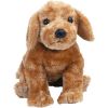 TY Classic Plush - CODY the Dog (11 inch) (Mint)