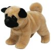 TY Classic Plush - DAX the Pug Dog (12 inch - Mint)