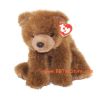TY Classic Plush - FOREST the Bear (Brown Version) (8 inch) (Mint)