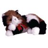 TY Classic Plush - MAGGIE the Calico Cat (12 inch - Mint)