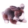 TY Classic Plush - MEADOW the Ty-Dyed Bunny (Mint)