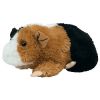 TY Classic Plush - PATCHES the Guinea Pig (9 inch) (Mint)