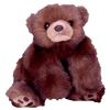 TY Classic Plush - BABY PAWS the Bear ( Sable - 12 inch ) (Mint)