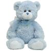 TY Classic Plush - RAINDROPS the Bear (12 inch) (Mint)