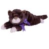 TY Classic Plush - SPICE the Cat (12 inch) (Mint)