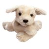 TY Classic Plush - SUNNY the Dog (12 inch - Mint)