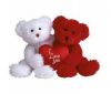 TY Classic Plush - TRULY YOURS the Bears (both together) (9.5 inch) (Mint)
