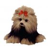 TY Classic Plush - YAPPY the Dog (8.5 inch) (Mint)