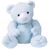 TY Pluffies - TINKER the Bear (9.5 inch) (Mint)