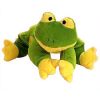 TY Pillow Pal - RIBBIT the Frog (Green Version) (13 inch) (Mint)