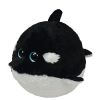 TY Beanie Ballz - SPLASH the Killer Whale (Regular Size - 5 inch) (Mint)